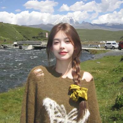 不能说的秘密2007